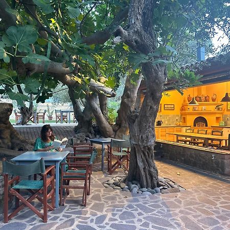 Villa Daphnis & Chloe Pyrgi Thermis Ngoại thất bức ảnh