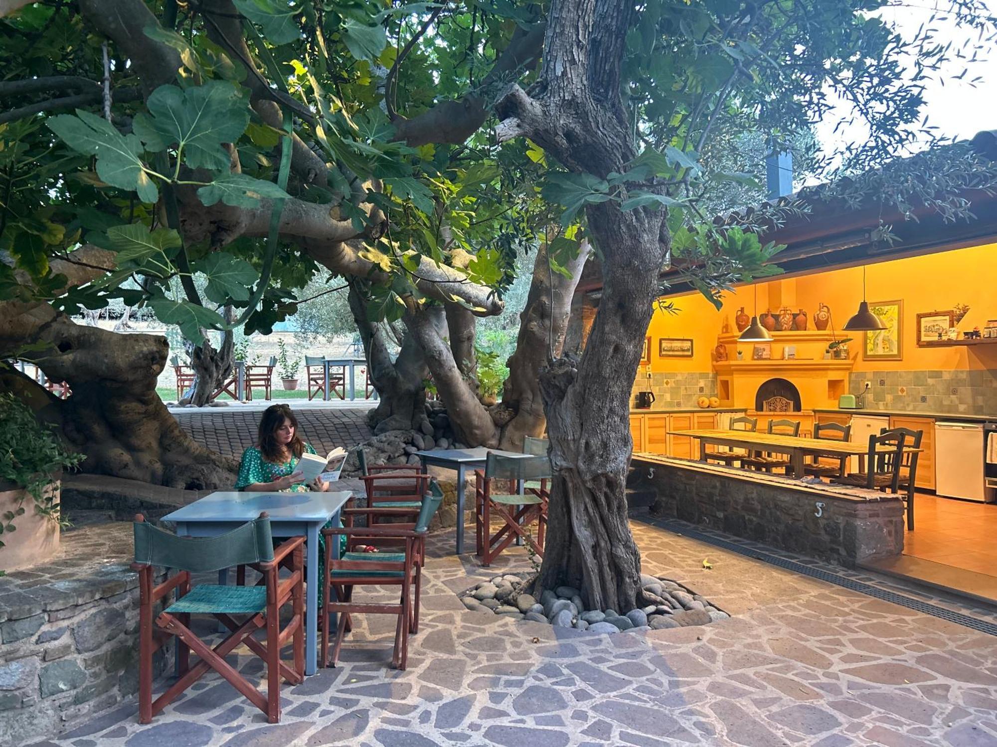 Villa Daphnis & Chloe Pyrgi Thermis Ngoại thất bức ảnh