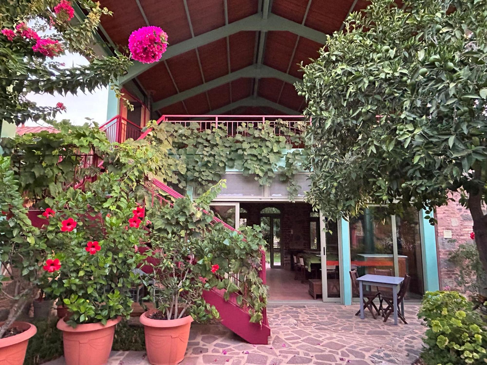Villa Daphnis & Chloe Pyrgi Thermis Ngoại thất bức ảnh